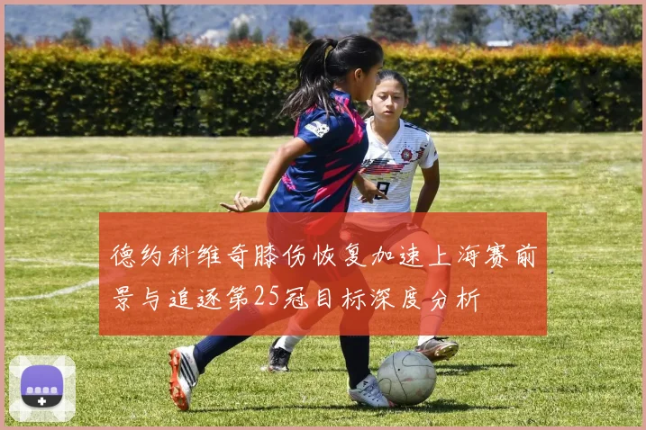 德约科维奇膝伤恢复加速上海赛前景与追逐第25冠目标深度分析